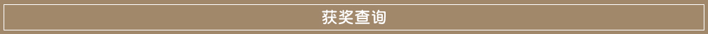 获奖查询